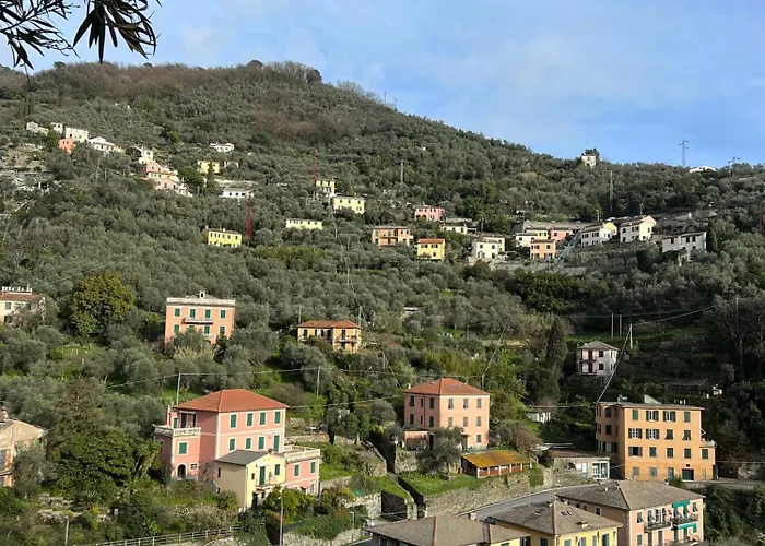 Cozy Flat Near The Zoagli